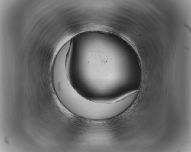 X0000103141152200809051608