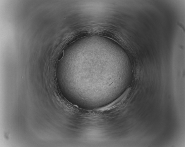 X0000103141153200809051608