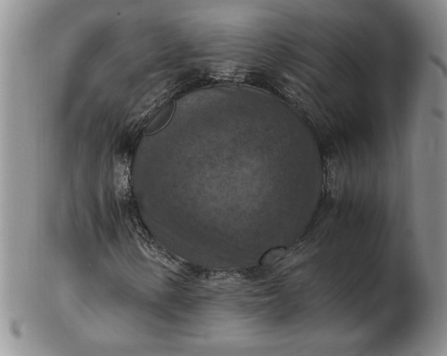 X0000103141154200809051608