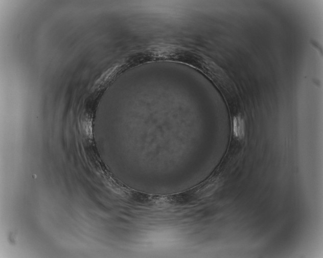 X0000103141155200809051608