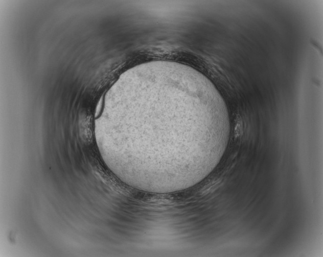 X0000103141156200809051608