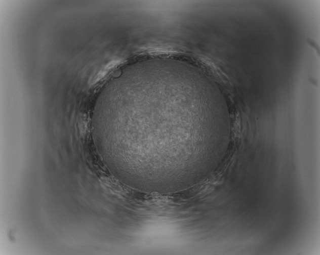 X0000103141157200809051608