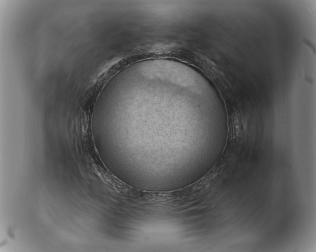 X0000103141158200809051608