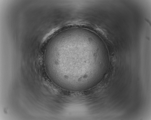 X0000103141159200809051608