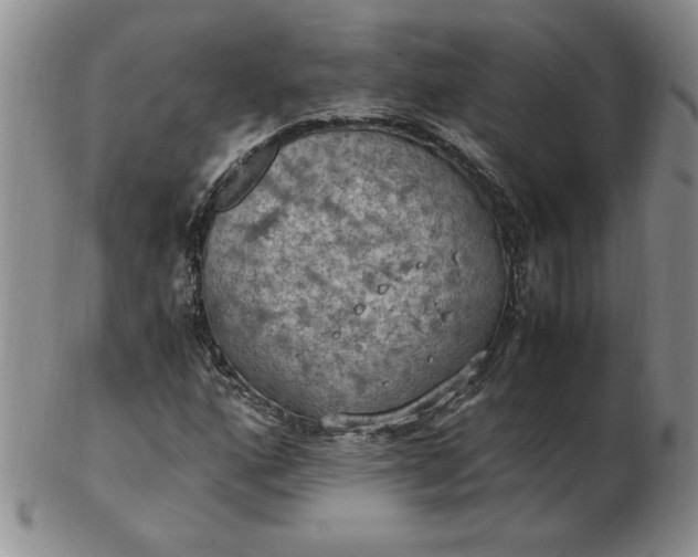 X0000103141160200809051608