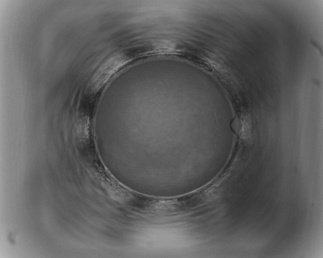 X0000103141161200809051608