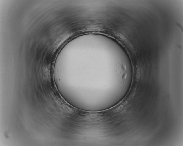 X0000103141162200809051608