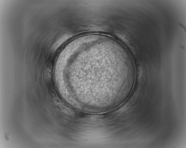 X0000103141163200809051608