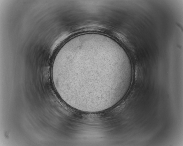 X0000103141164200809051608