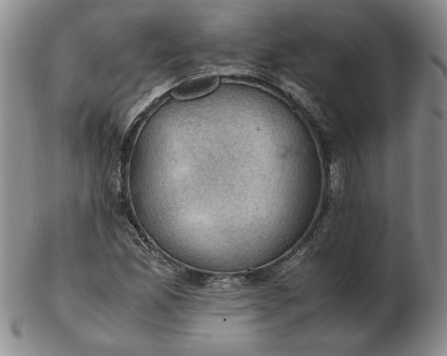 X0000103141165200809051608