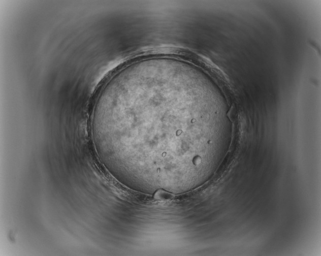 X0000103141166200809051607