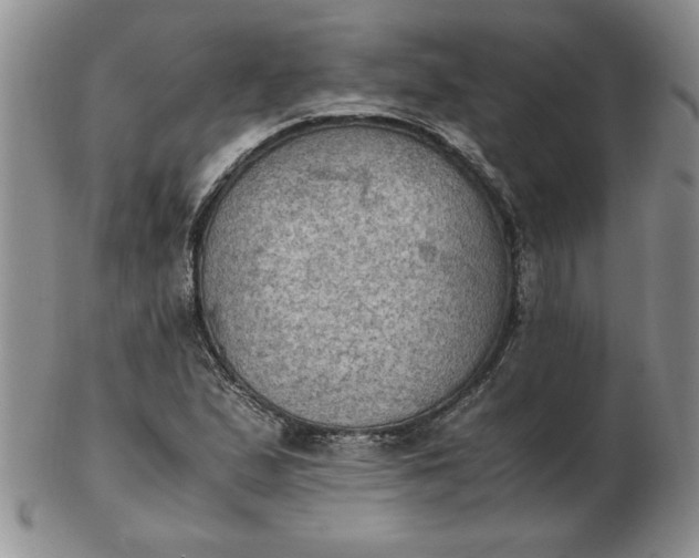 X0000103141167200809051607