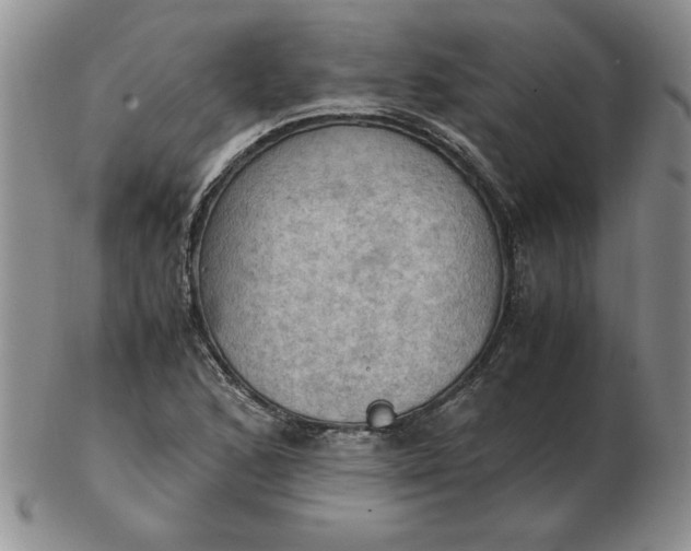 X0000103141168200809051607