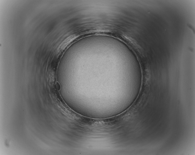 X0000103141169200809051607