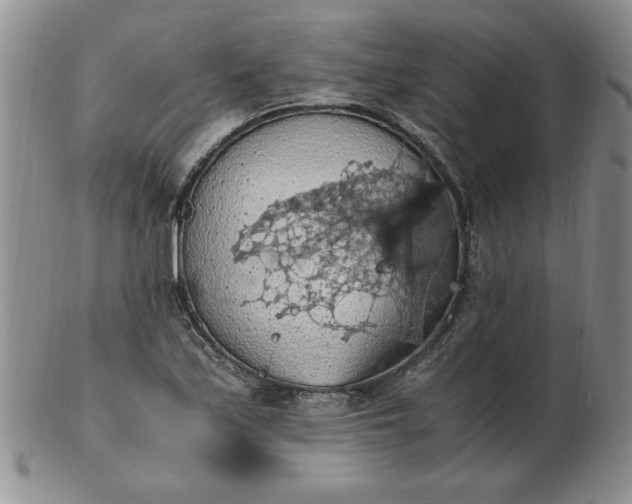 X0000103141171200809051607