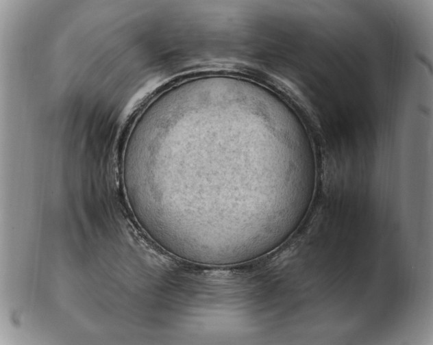 X0000103141172200809051607