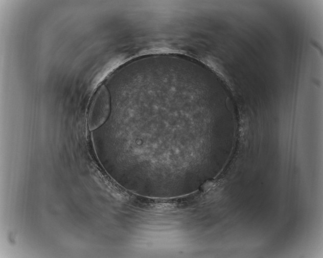 X0000103141173200809051607