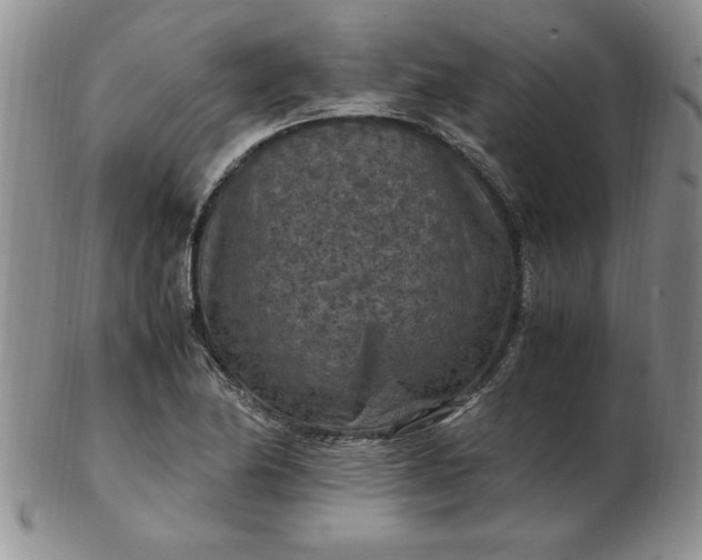 X0000103141174200809051607