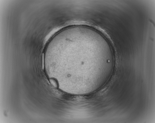 X0000103141175200809051607