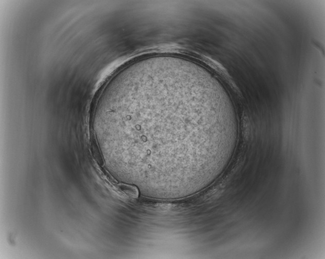 X0000103141176200809051607