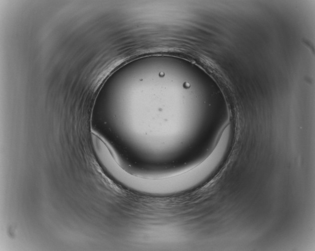 X0000103141177200809051607