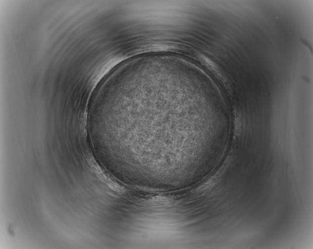 X0000103141178200809051607