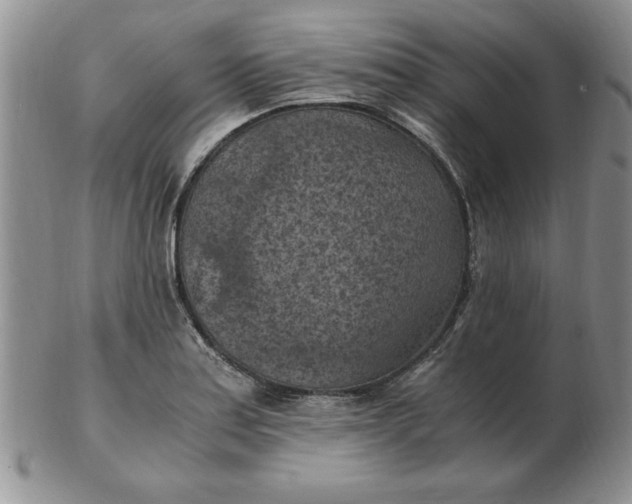 X0000103141179200809051607