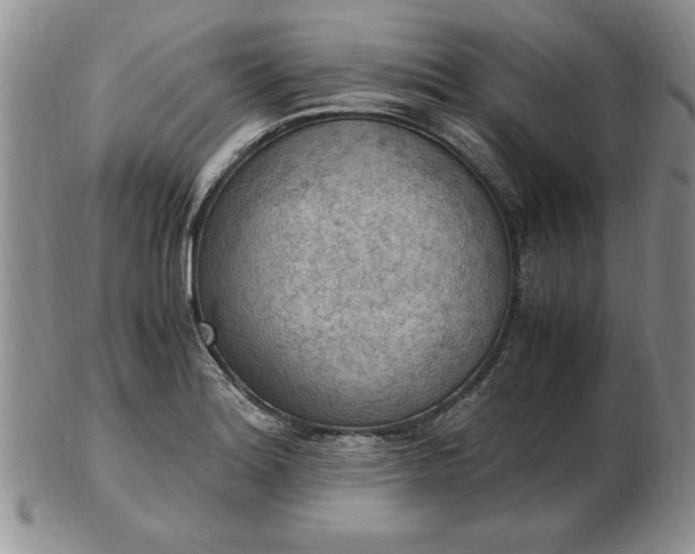 X0000103141180200809051607