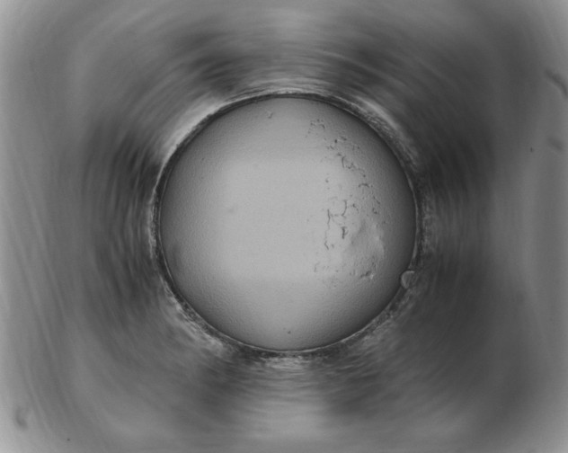 X0000103141182200809051607