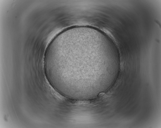 X0000103141183200809051607