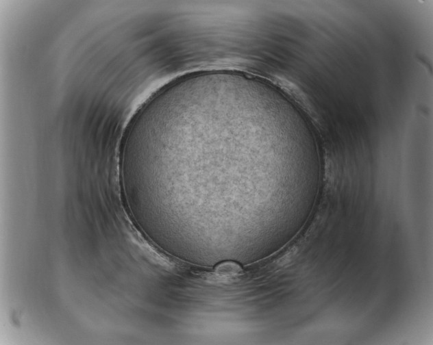 X0000103141184200809051607