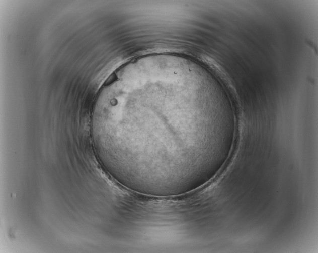 X0000103141185200809051607