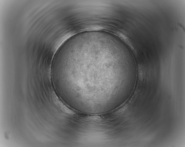 X0000103141186200809051607