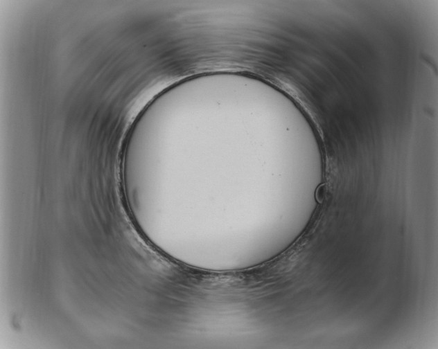 X0000103141187200809051607