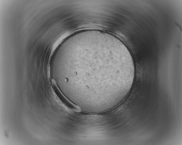 X0000103141188200809051607