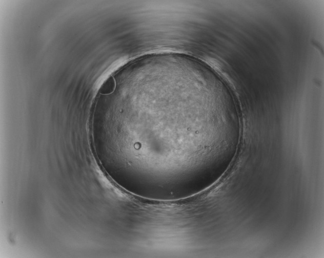 X0000103141189200809051607