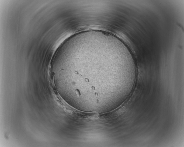 X0000103141190200809051607