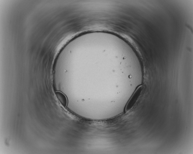 X0000103141191200809051607