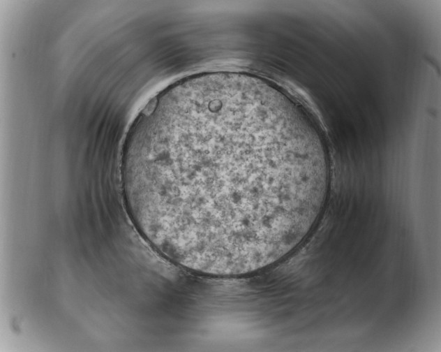 X0000103141192200809051607