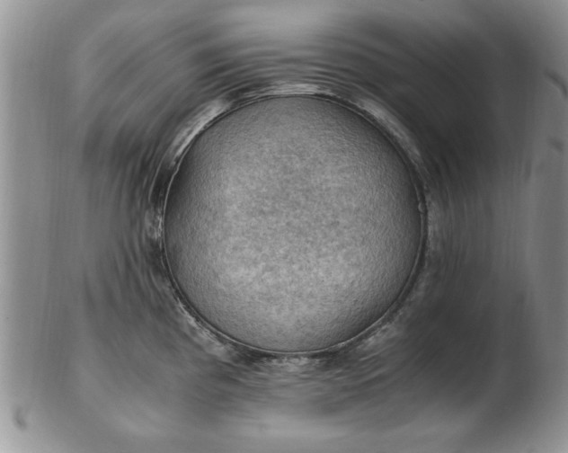 X0000103141193200809051607