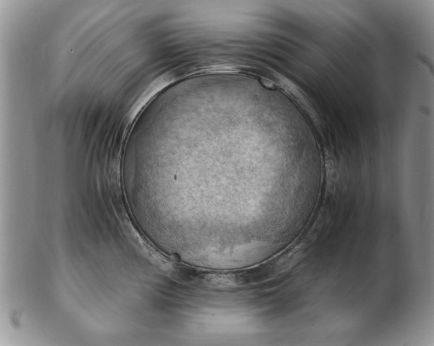 X0000103141194200809051607