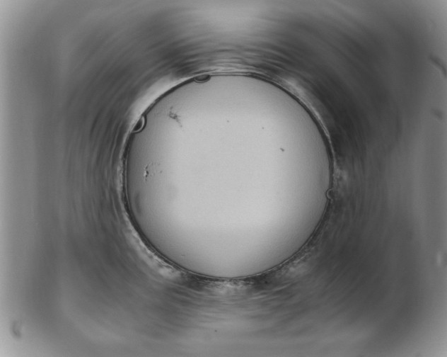 X0000103141195200809051607