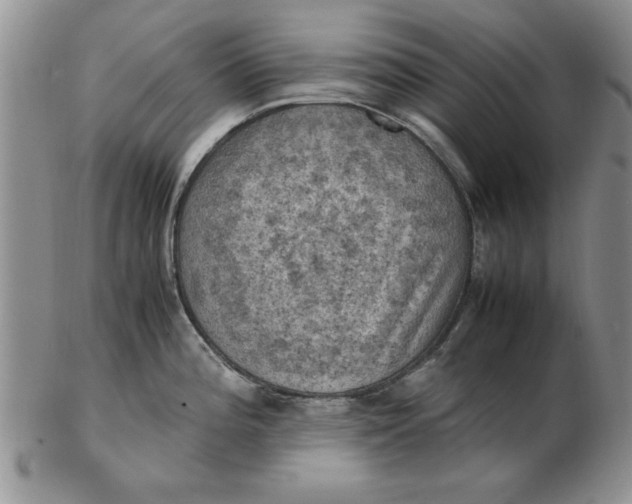 X0000103141196200809051607