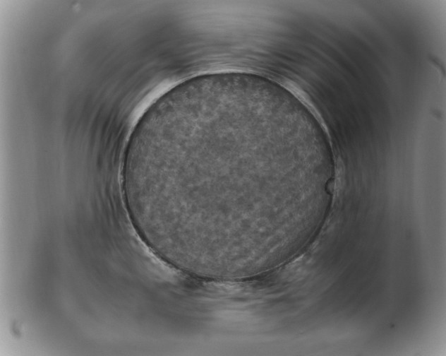 X0000103141197200809051607