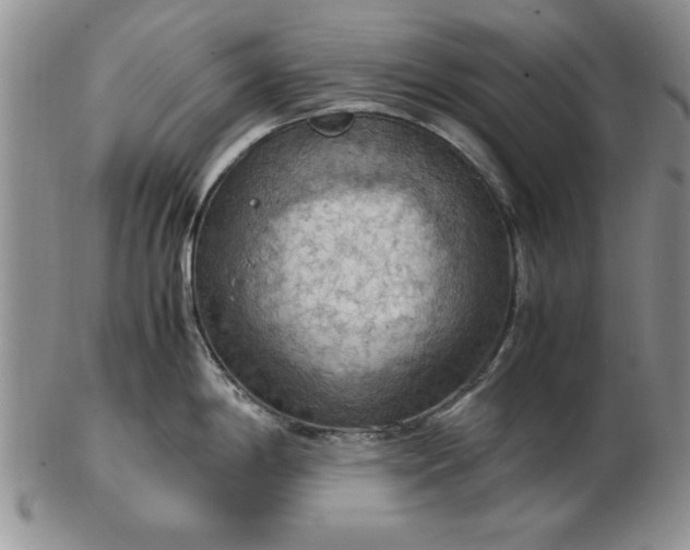 X0000103141198200809051607