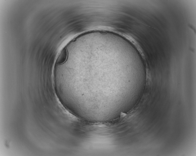 X0000103141199200809051607