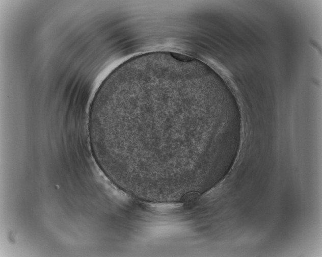 X0000103141200200809051607