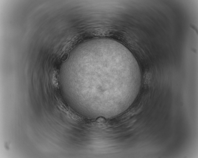 X0000103141202200809051606