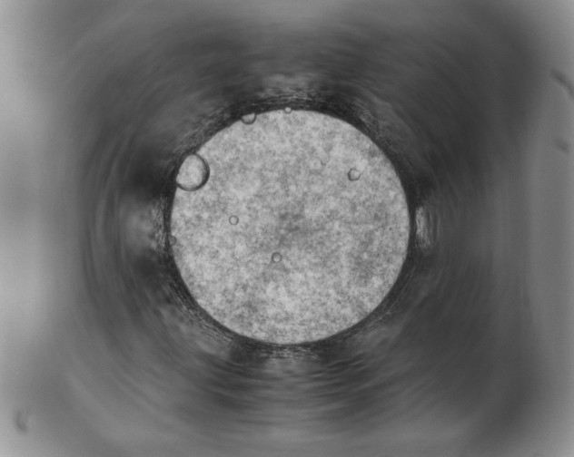 X0000103141203200809051606