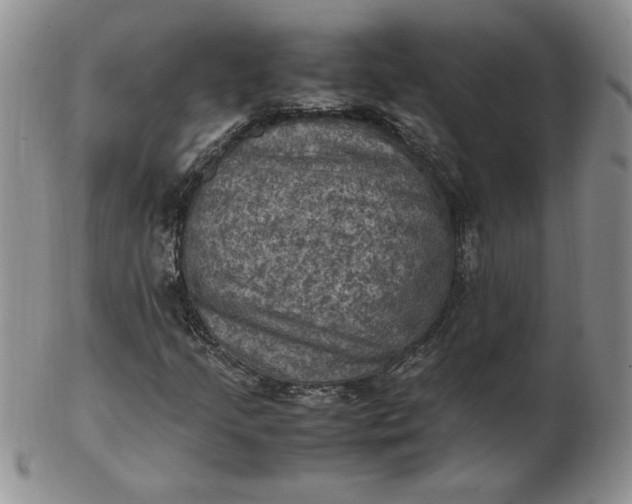 X0000103141205200809051606